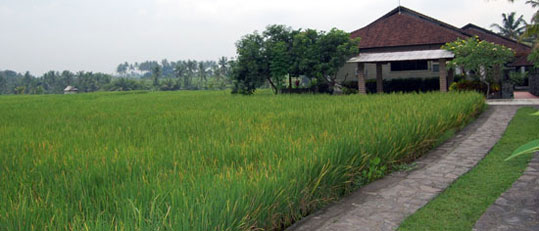 Bali villas for rent